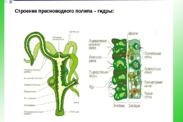 Kraken магазин интернет